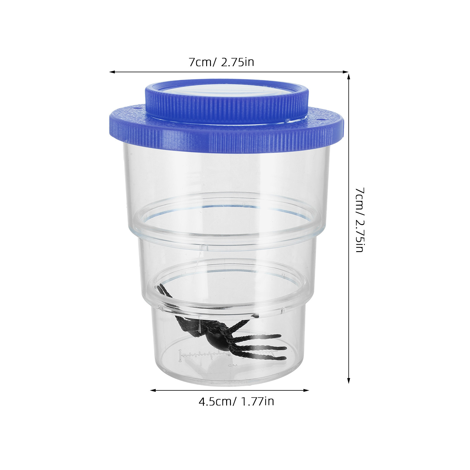 Three-Section Insect Observati - Science Kit 评论和价格