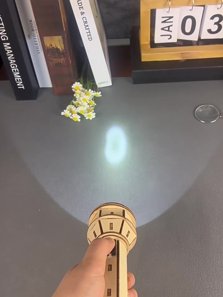 Wooden DIY Flashlight Puzzle K - Science Project Kit 评论和价格
